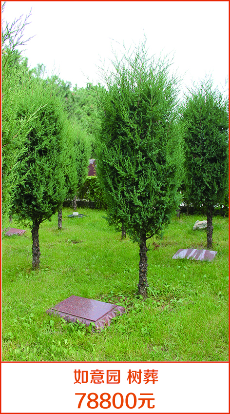 灵山宝塔陵园如意园树葬