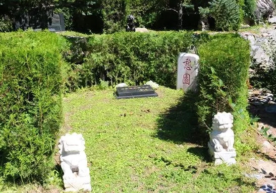 北京树葬最低价多少钱